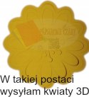 Dekoracja wiosenna Wiosna Okno Gazetkę Kwiaty Kwiat Liście Zestaw 4/4 3D