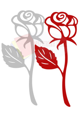 Róża 3 biała czerwona Dekoracje z papieru