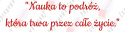 Napis "Nauka to podróż..." Dekoracje z papieru