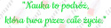 Napis "Nauka to podróż..." Dekoracje z papieru