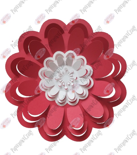 Kwiat 3D 101 Dwukolorowy biało czerwony Dekoracje z papieru
