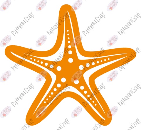 Rozgwiazda 2 Dekoracje z papieru