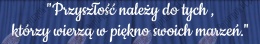 Napis 